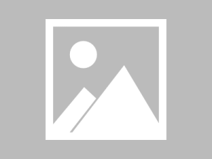 GPT-4o跌落神坛，Claude 3.5 新王登基